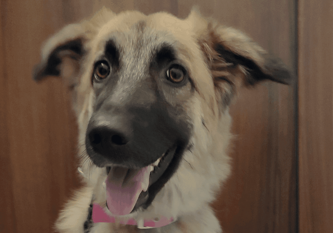 Good girl